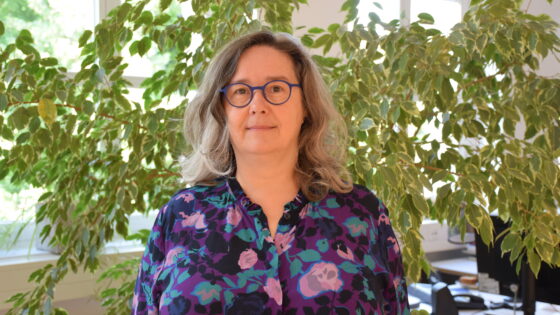 Vorschaubild_Statement Ministerin Heike Werner