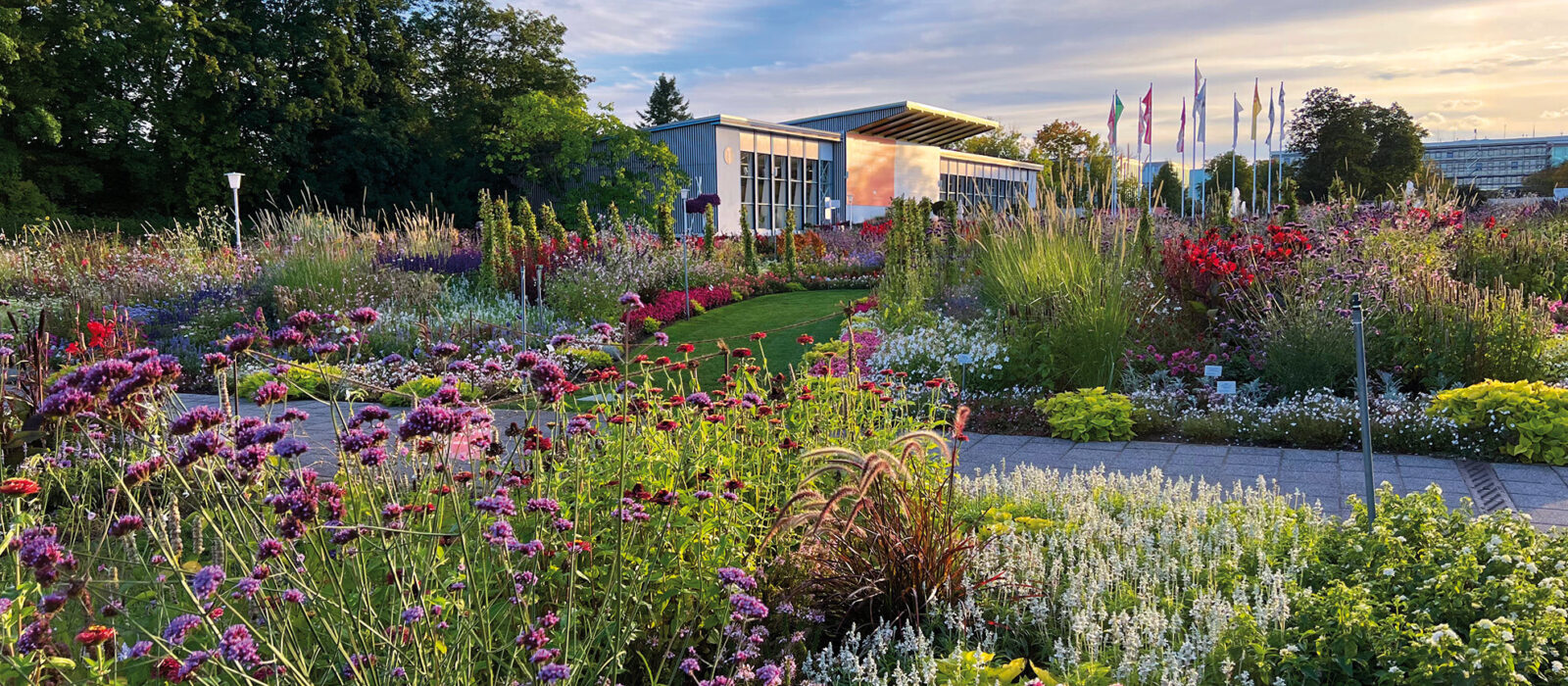 Zierpflanzengaertner Foto Landesverband Gartenbau Thuerigen e V 02