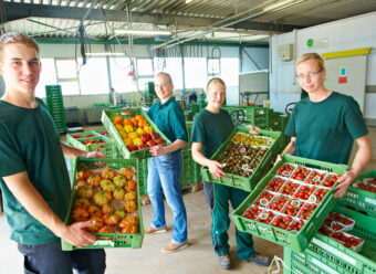 Gaertner arbeitsplatz sortierhalle
