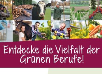 La Ga Flyer gruene Berufe DIN A6 01 4
