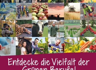 La Ga Flyer gruene Berufe DIN A6 01 5