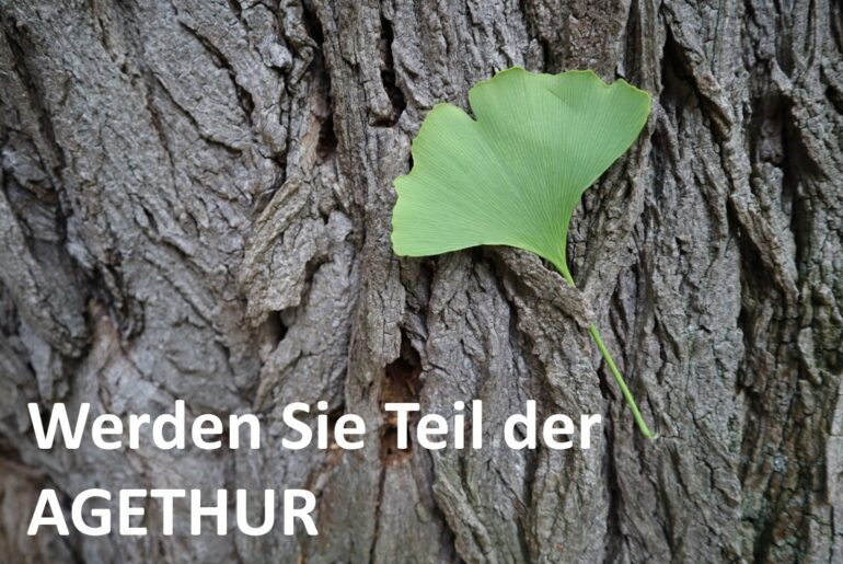 Bild Stellenausschreibung Gingko.jpg