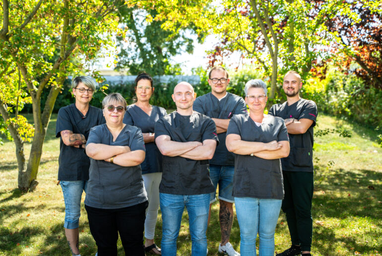 Dein Team bei GetHelphy