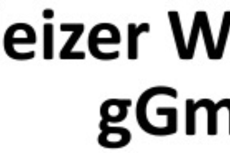 Logo Schleizer Werkstätten.jpg